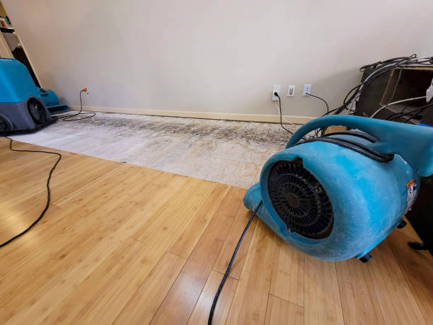 Professional Sewage Cleanup technician working in Topock, AZ